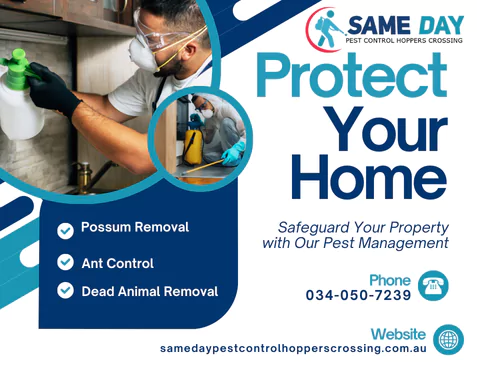 Pest Control Hoppers Crossing